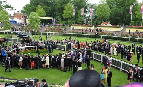 britania stakes stats|Royal Ascot .